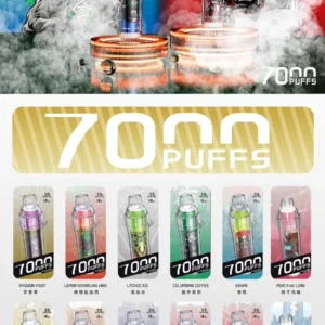 HEBAT喜貝 7000口 拋棄式