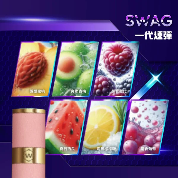 SWAG 煙彈｜五盒送皮革主機：圖片 3